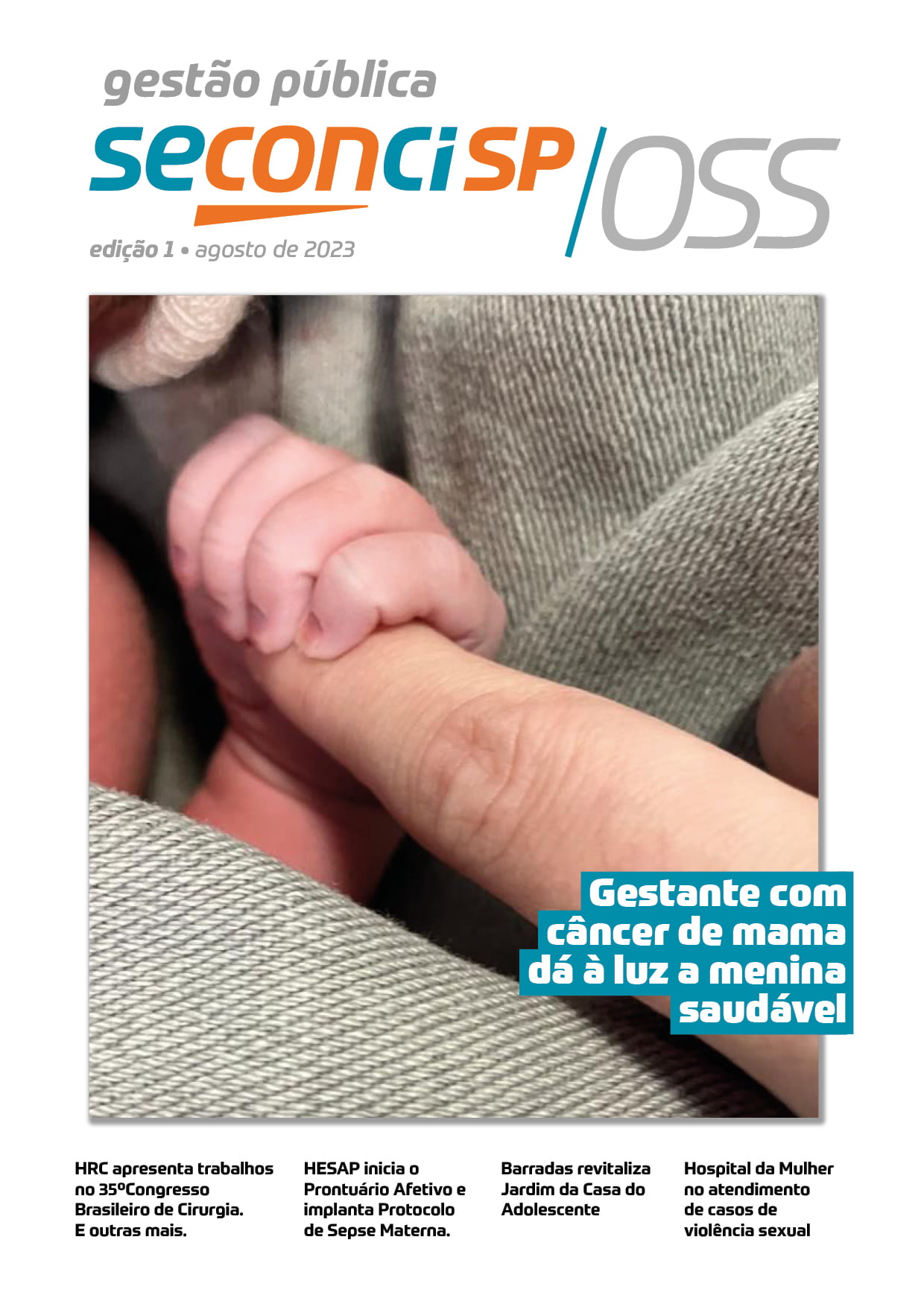 Revista Gestão Pública Seconci-SP
